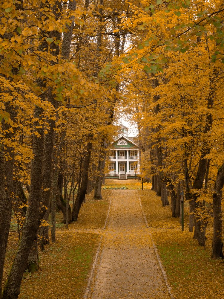 Photograph by Шейко Анна