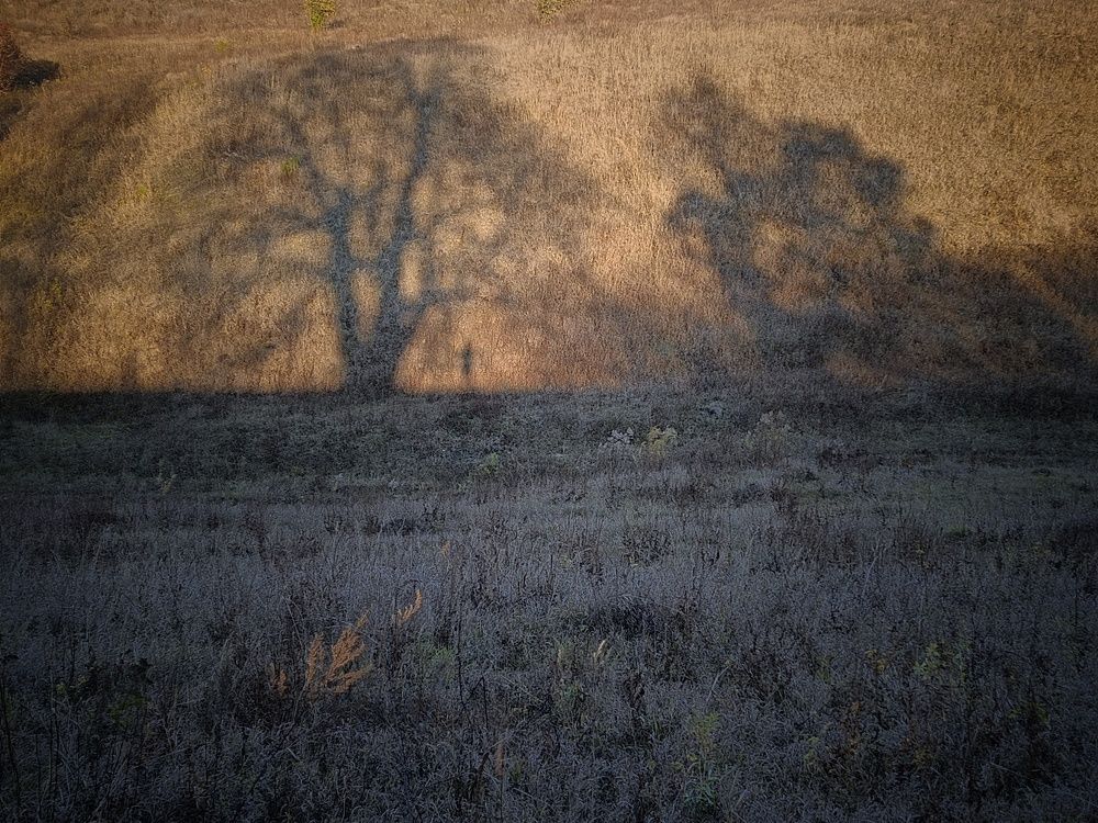 Photograph by Кондрашова Светлана