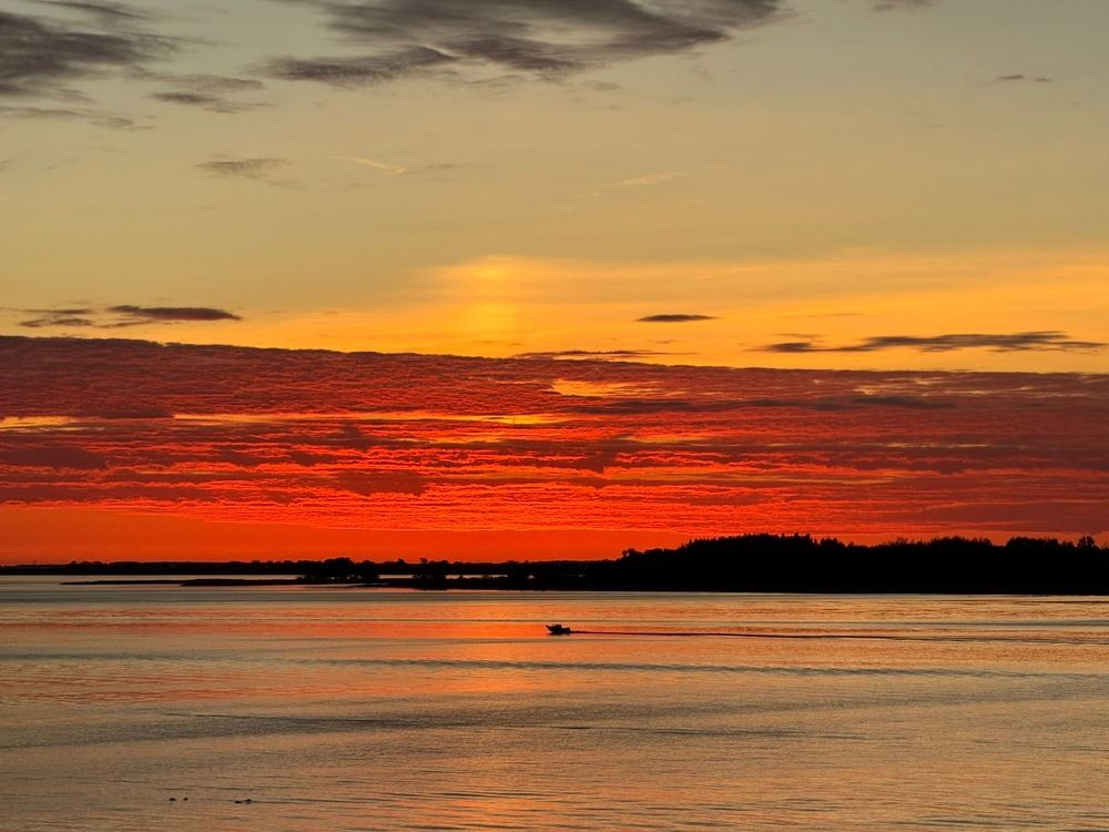 Photograph by Александр Шандов