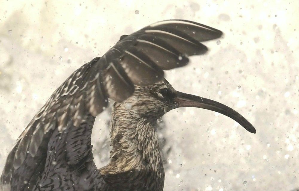 Photograph by Maria del Mar hernánadez Violán