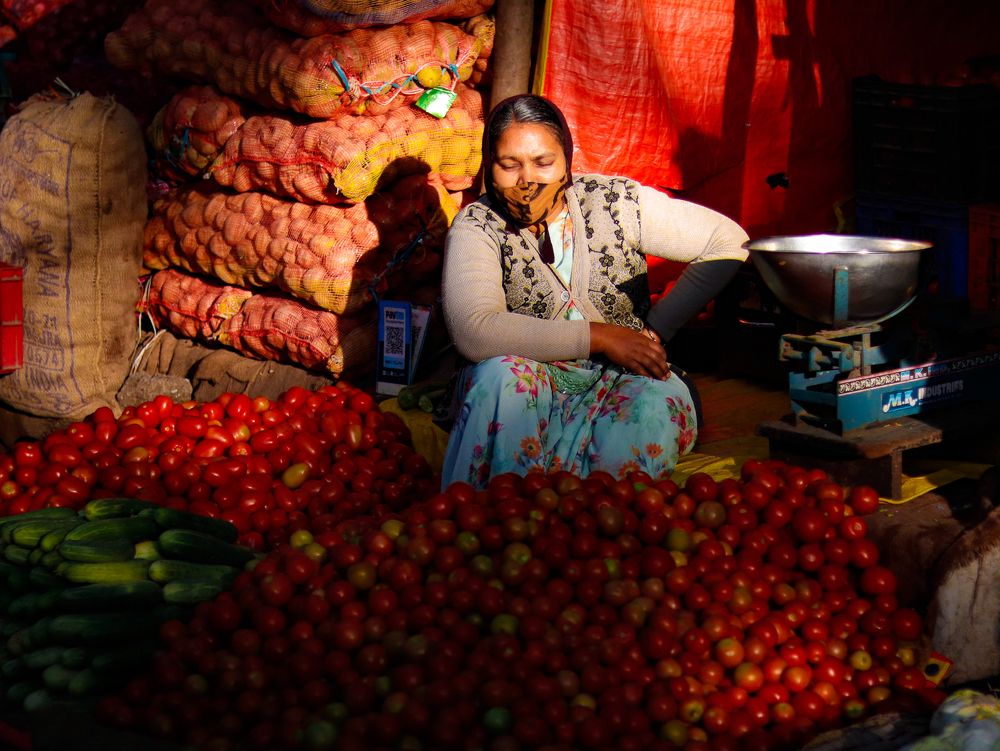 Photograph by Vignesh P Hegde