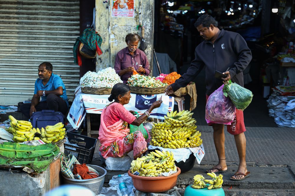 Photograph by Vignesh P Hegde