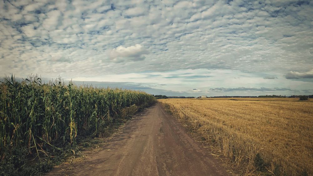 Photograph by Дмитрий Гребнев