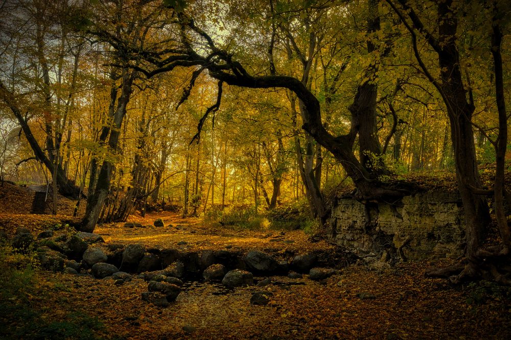 Photograph by Janis Serdienis