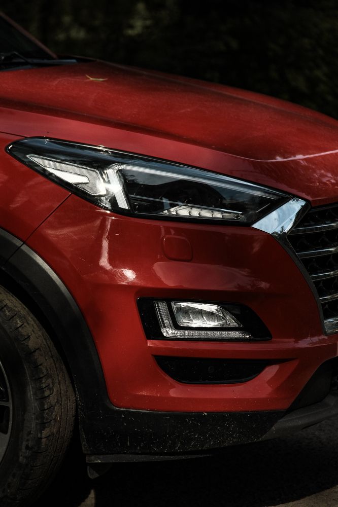 Photograph by Анастасия Псарёва