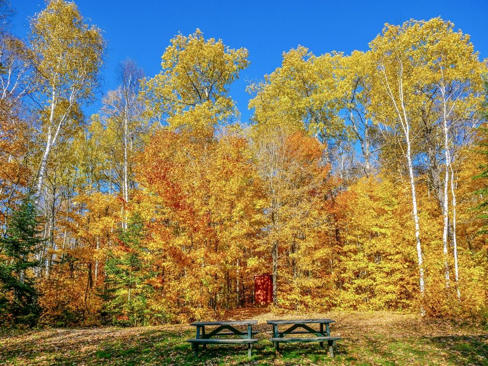 Photograph by Annie Trudel