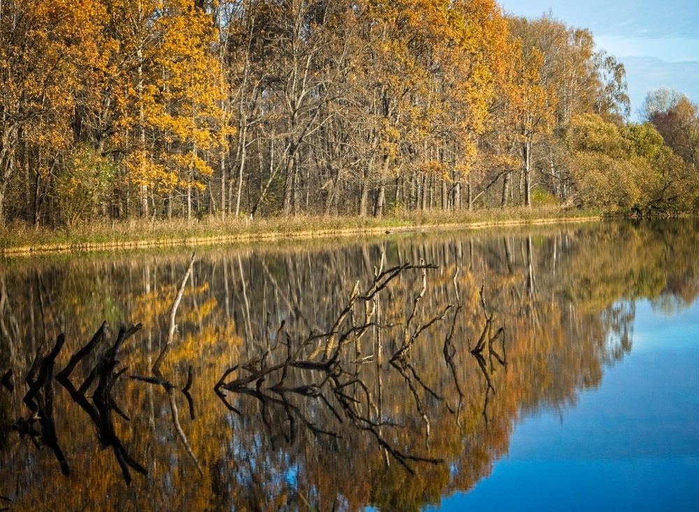 Photograph by Илюшечкина Екатерина