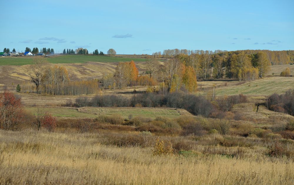 Photograph by Андрей Пляскин