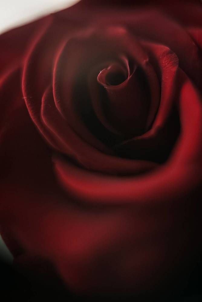 Photograph by Анастасия Китаева