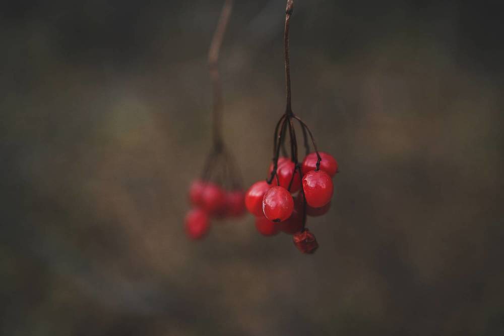Photograph by Анастасия Китаева