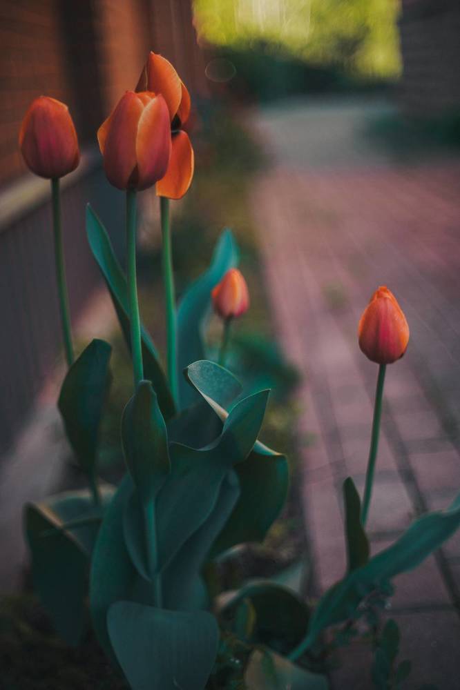 Photograph by Анастасия Китаева