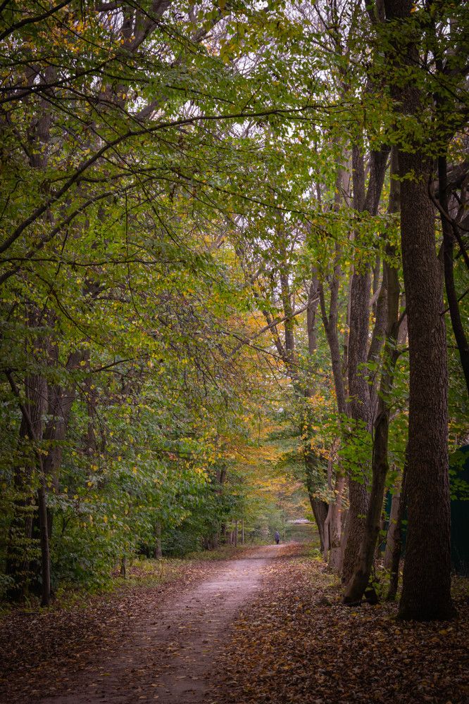 Фотография автора Оксана Белозерская