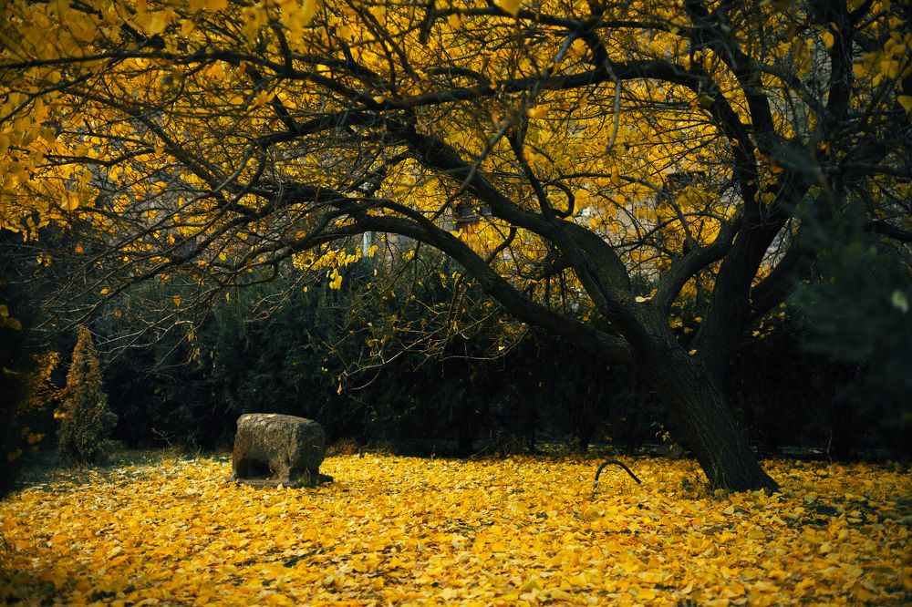 Photograph by Oleg Kozachok
