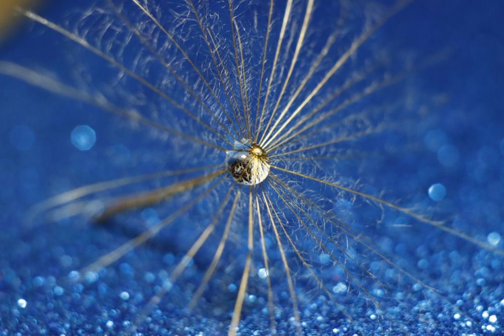 Photograph by Inna Klimaševska