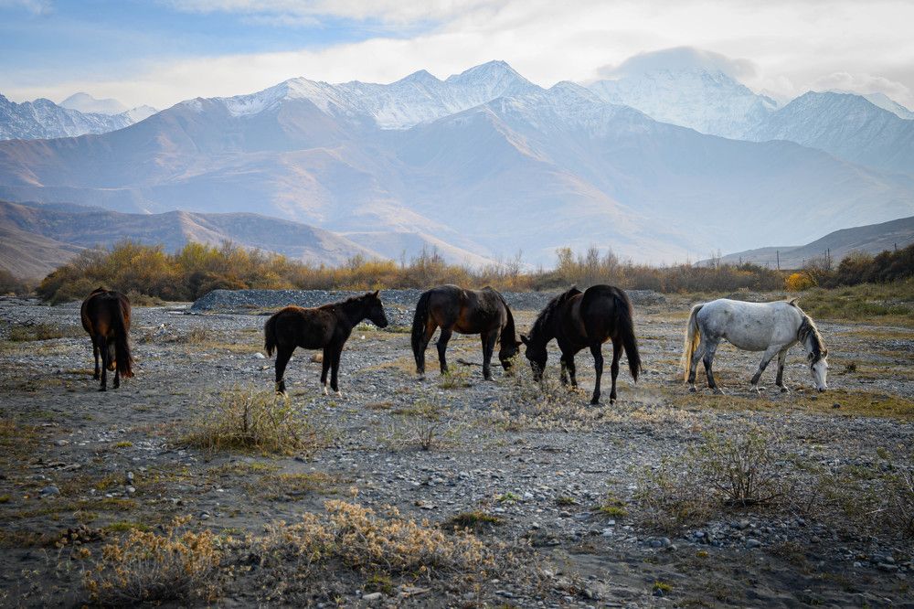 Фотография автора Оксана Белозерская