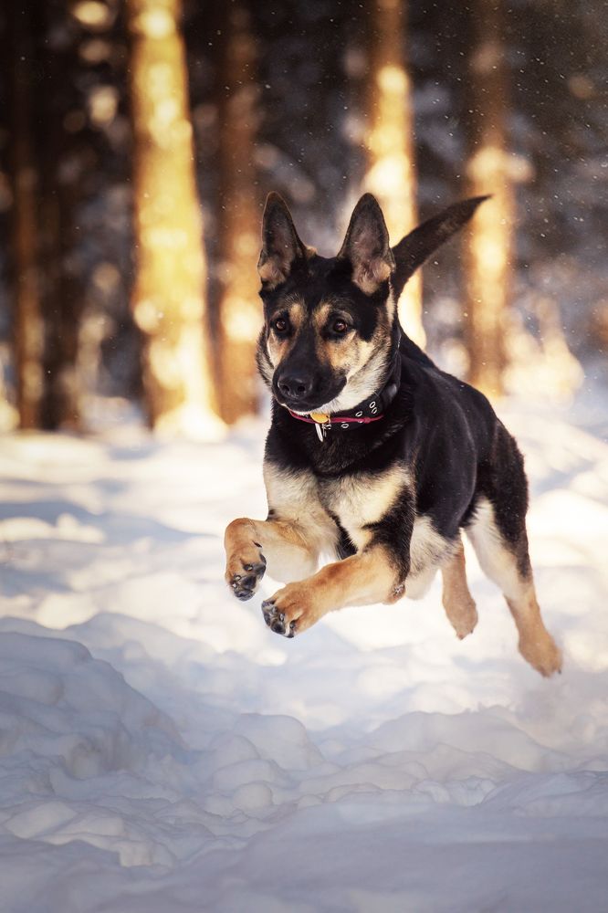 Photograph by Екатерина