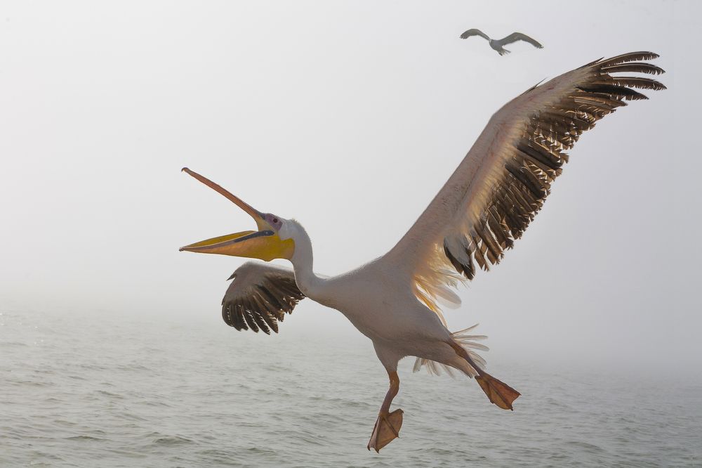 Photograph by Анатолий