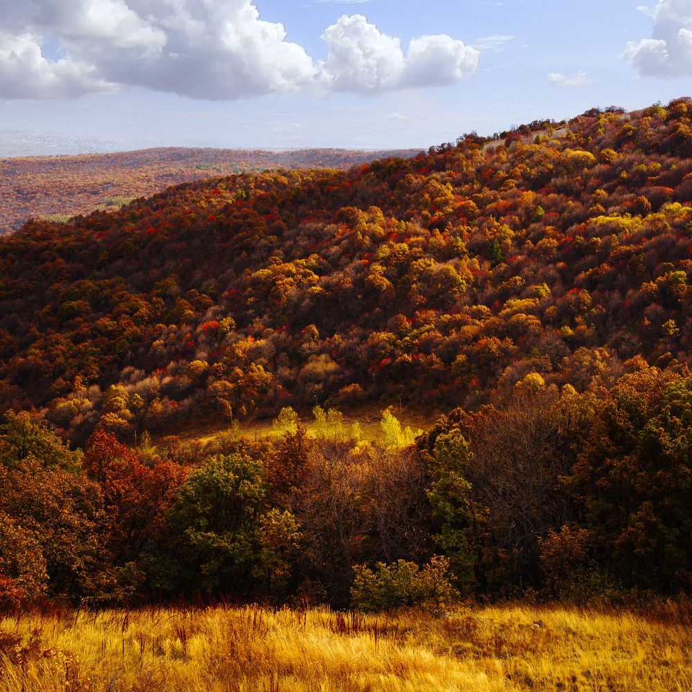 Photograph by Oleg Kozachok