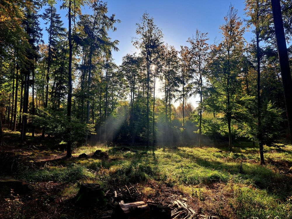 Фотография автора Monika Jurak