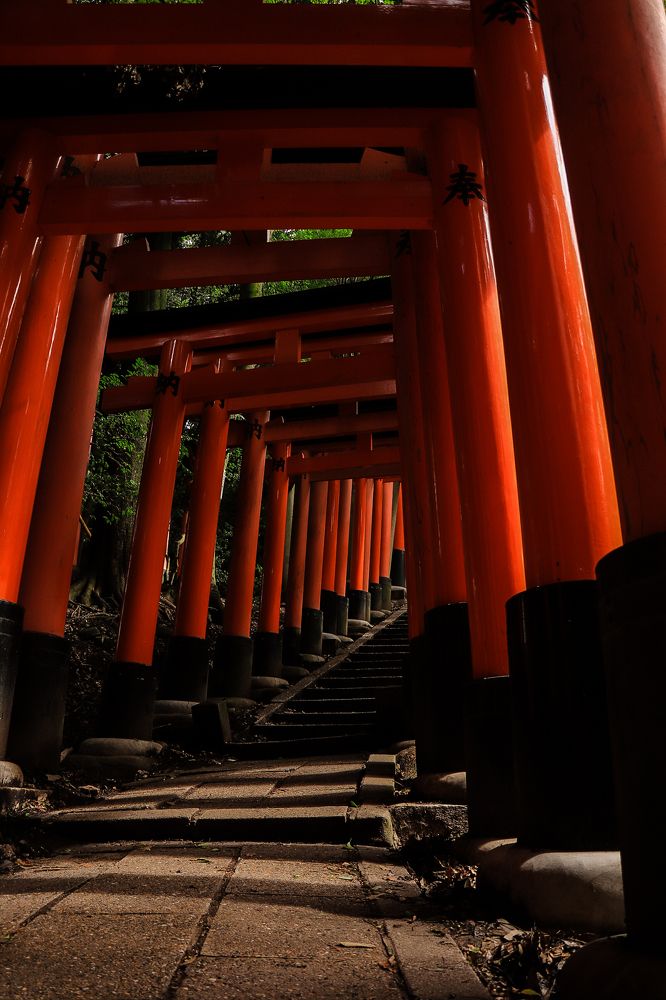 Photograph by Валерия Лунина