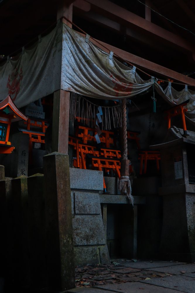 Photograph by Валерия Лунина