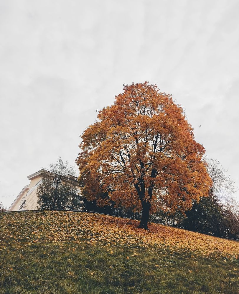 Фотография автора Catherine Shashkova