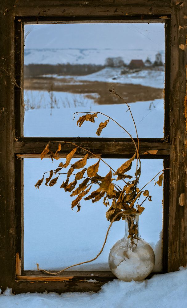 Photograph by Татьяна Назмутдинова