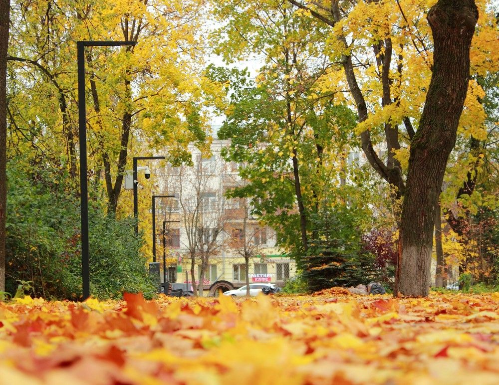 Photograph by Денис Косарев