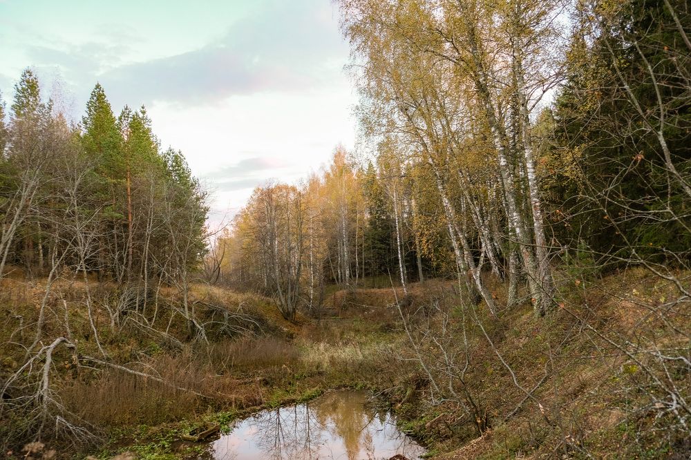 Photograph by Альберт Габбасов