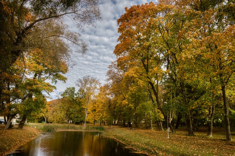 Photograph by Janis Serdienis