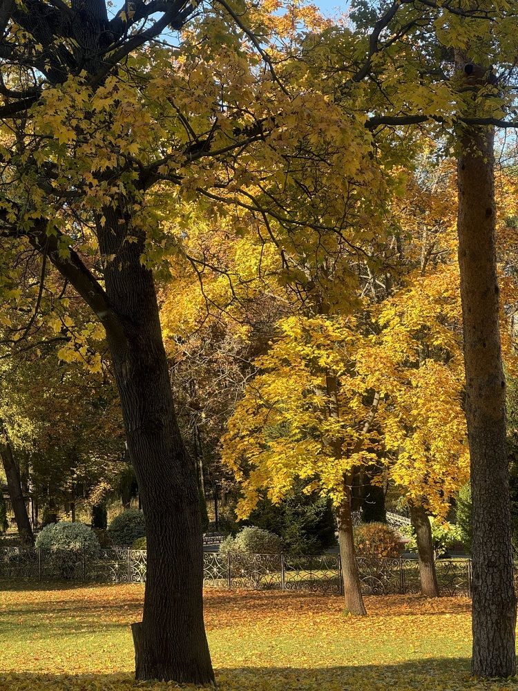 Фотография автора Ольга Горюнова