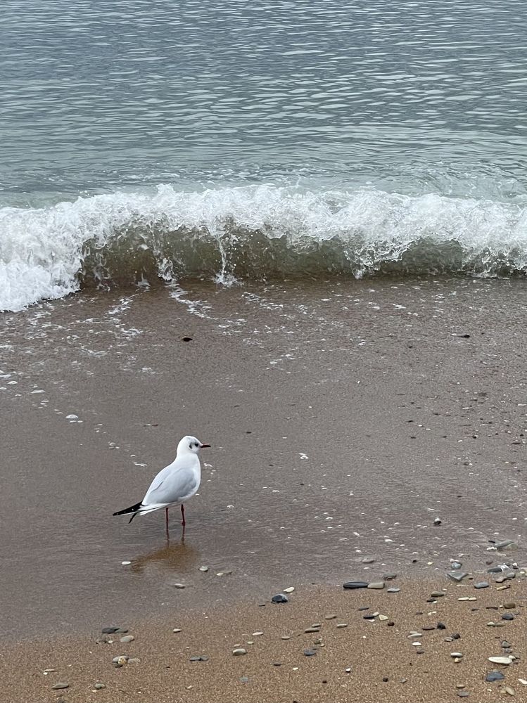 Photograph by Татьяна Токарева