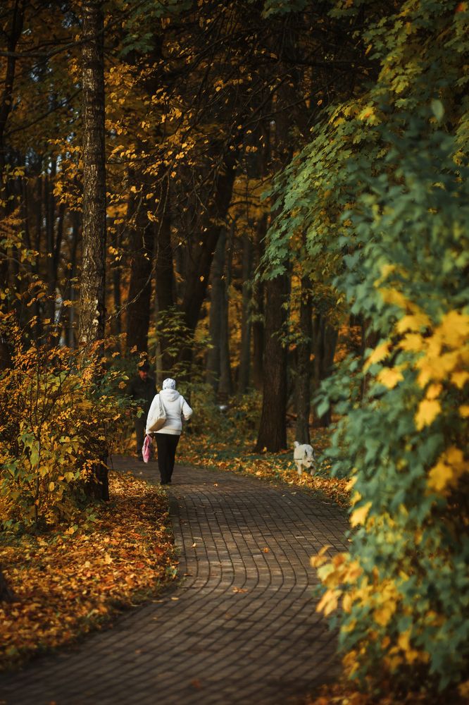 Photograph by Алексей Кочерыжкин