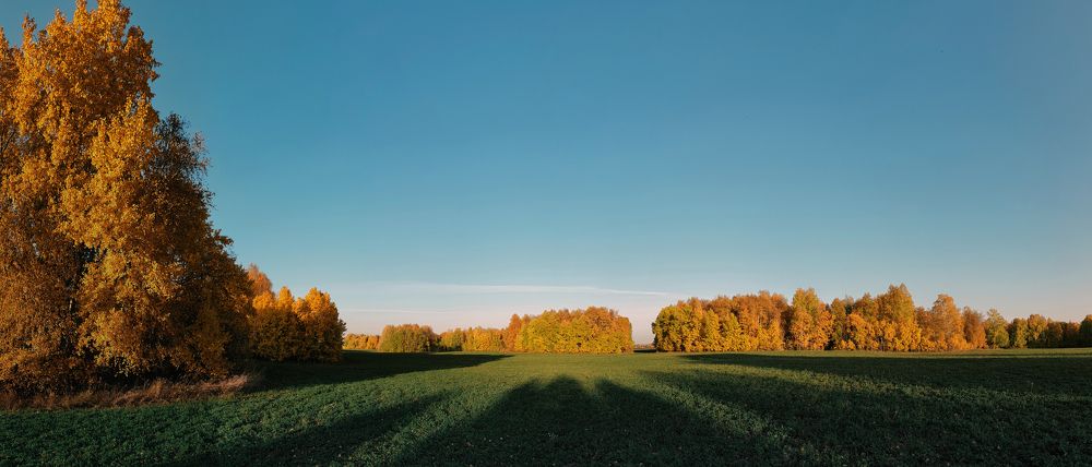 Photograph by Дмитрий Гребнев