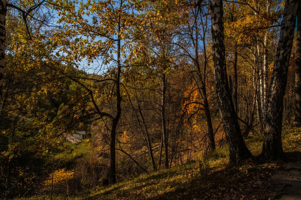 Photograph by Юрий Платухин