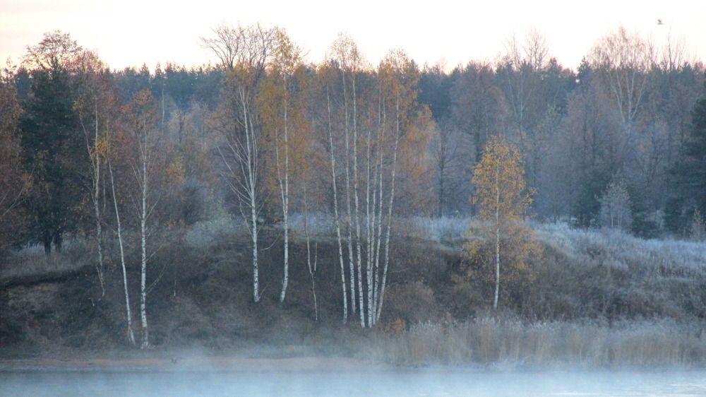 Photograph by Галина Пименова