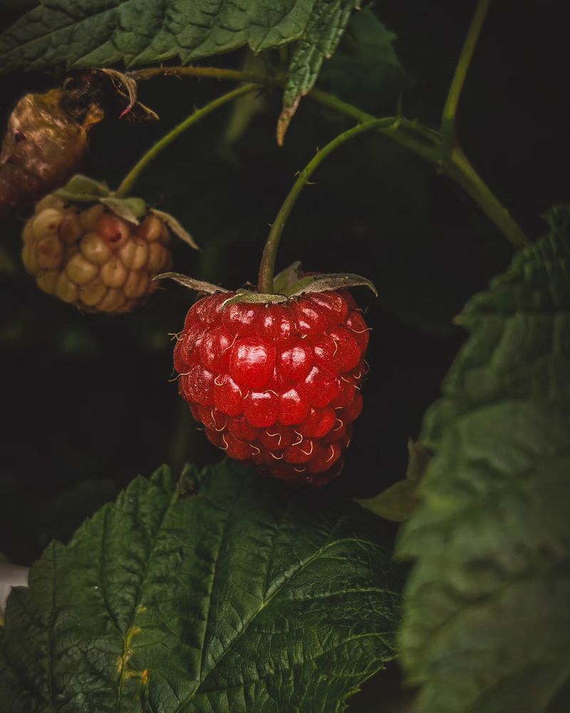 Photograph by Ксения Супрун