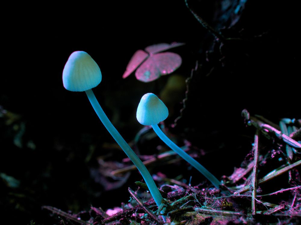 Photograph by 