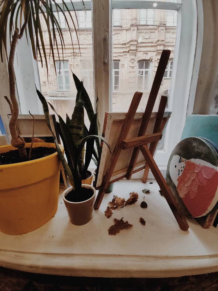 Фотография автора Catherine Shashkova