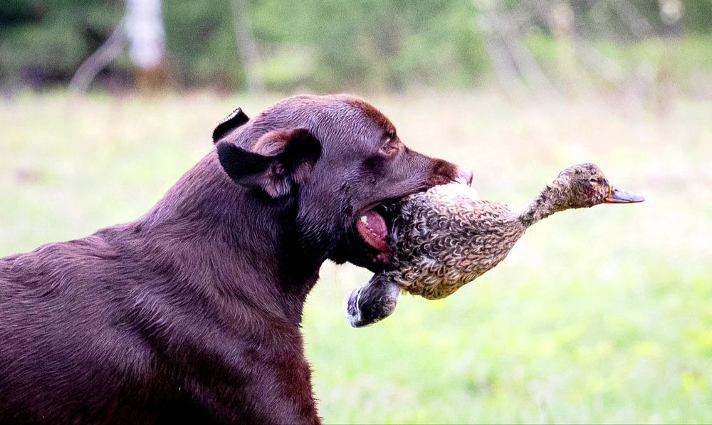 Photograph by Дарья