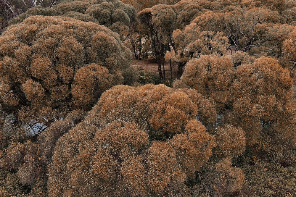 Photograph by Владислав Кравцов