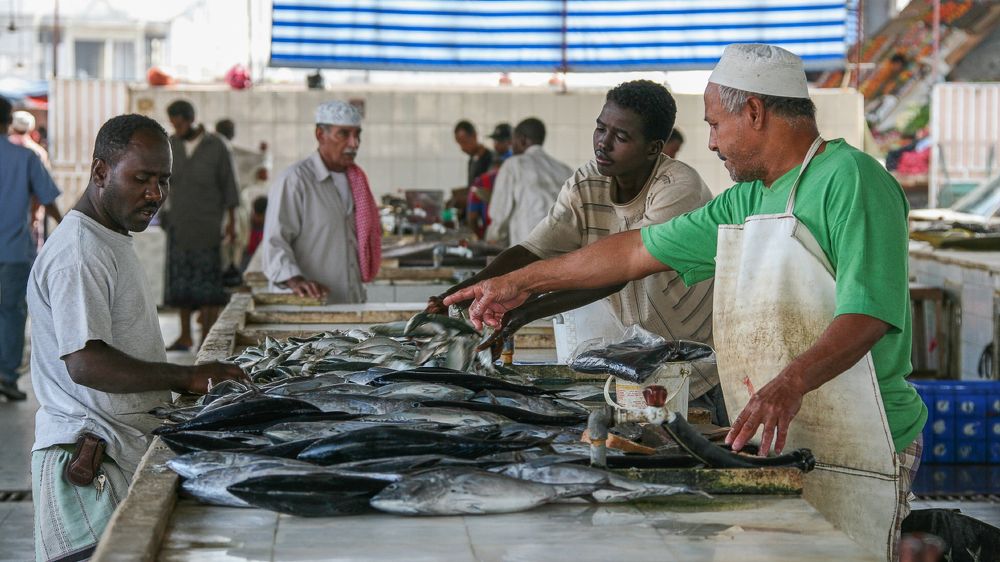 Фотография автора Анатолий