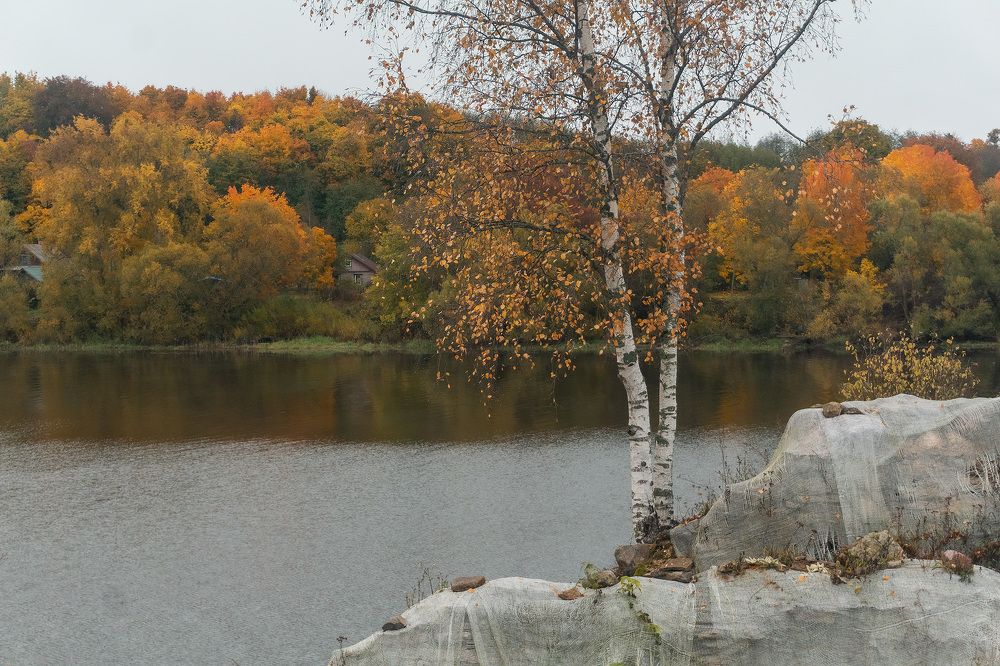 Photograph by Егор Ставер