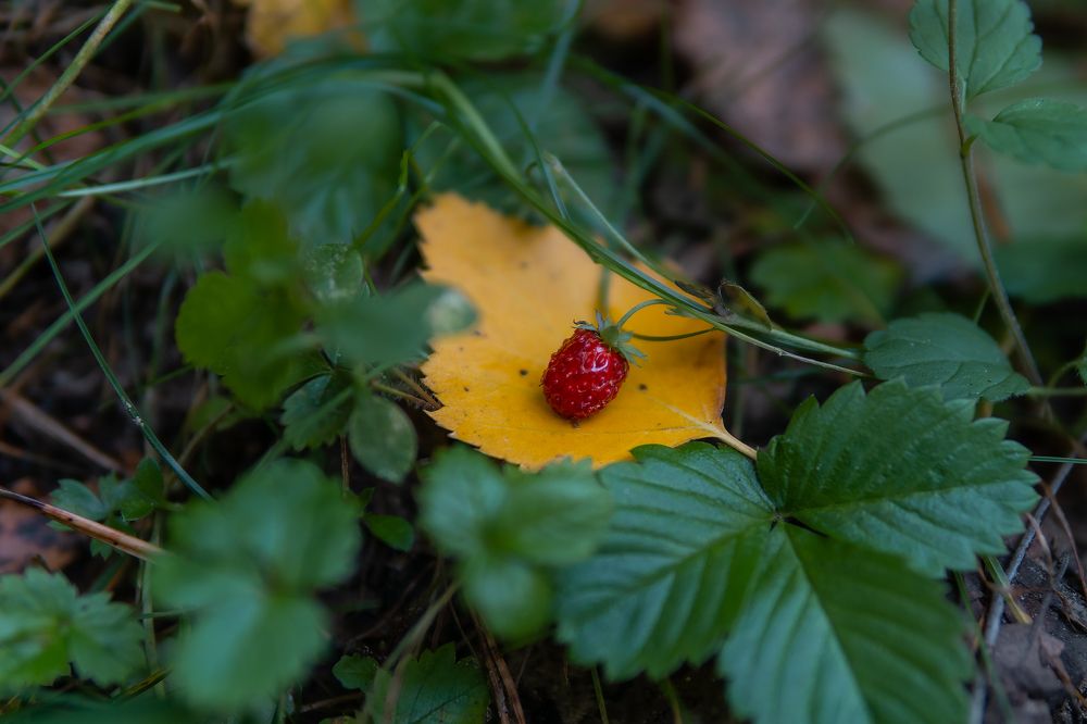 Photograph by Егор Ставер