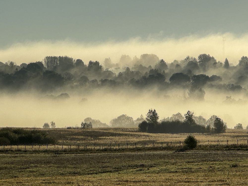 Photograph by Владимир Баулин