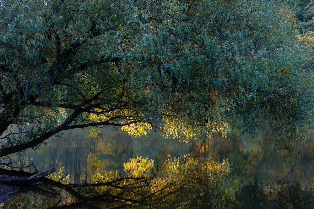 Photograph by Юлия Залогина