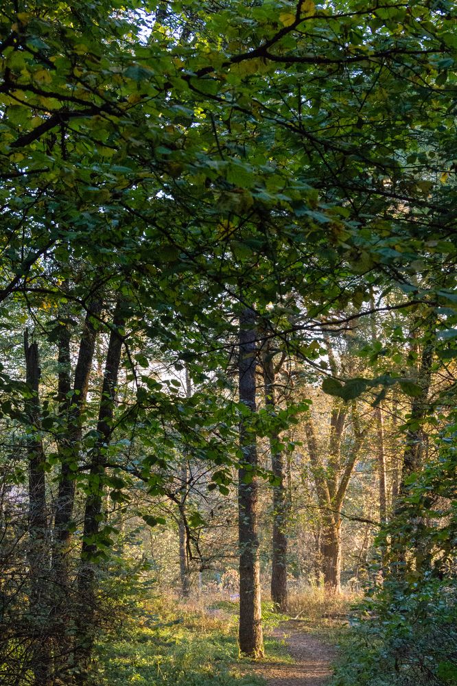 Photograph by Юлия Залогина