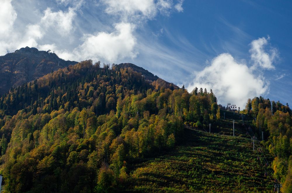 Photograph by Максим Захаров