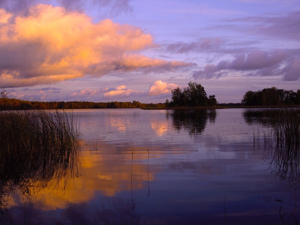 Photograph by Liudmila Drake