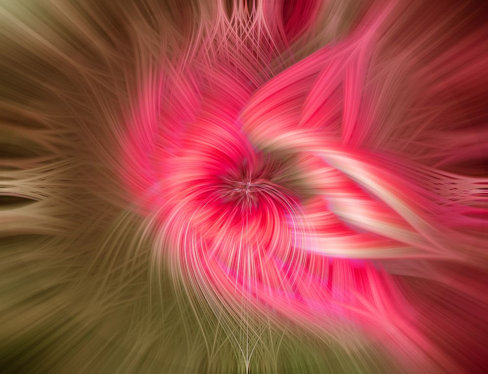 Photograph by Hisham Khatib